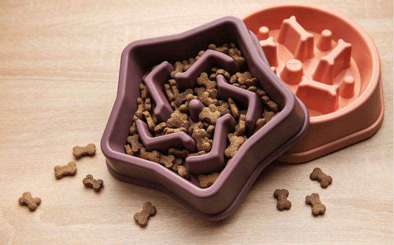 Star-shaped pet bowl with kibble inside.